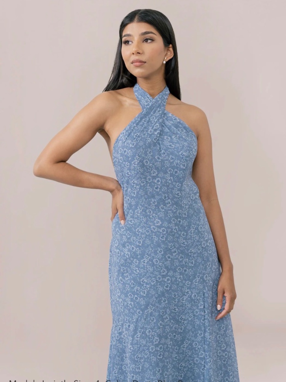 Revelry Athena Floral Chiffon Print Dress Women's Size 4 BB
